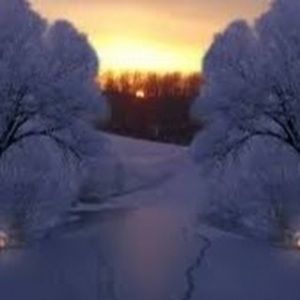 Meet your Posher, Mallory